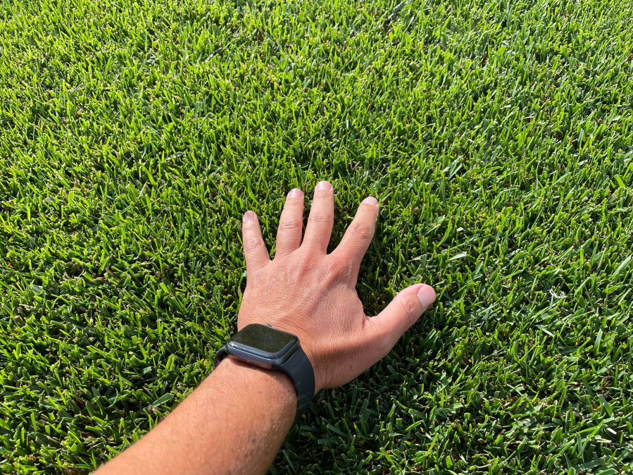 GAZON EN ROULEAU TOULOUSE